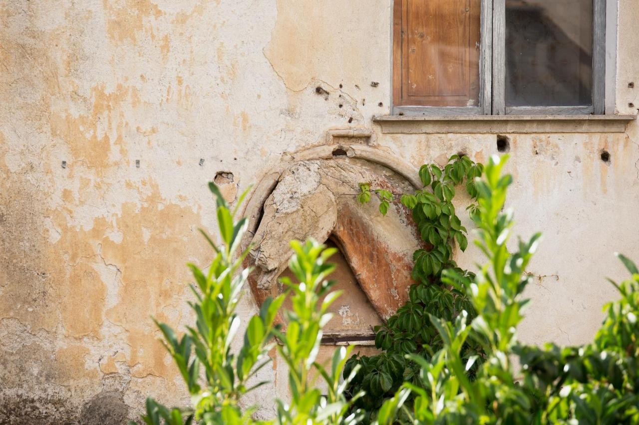 Domus Festina Lente Apartment Orvieto Exterior photo